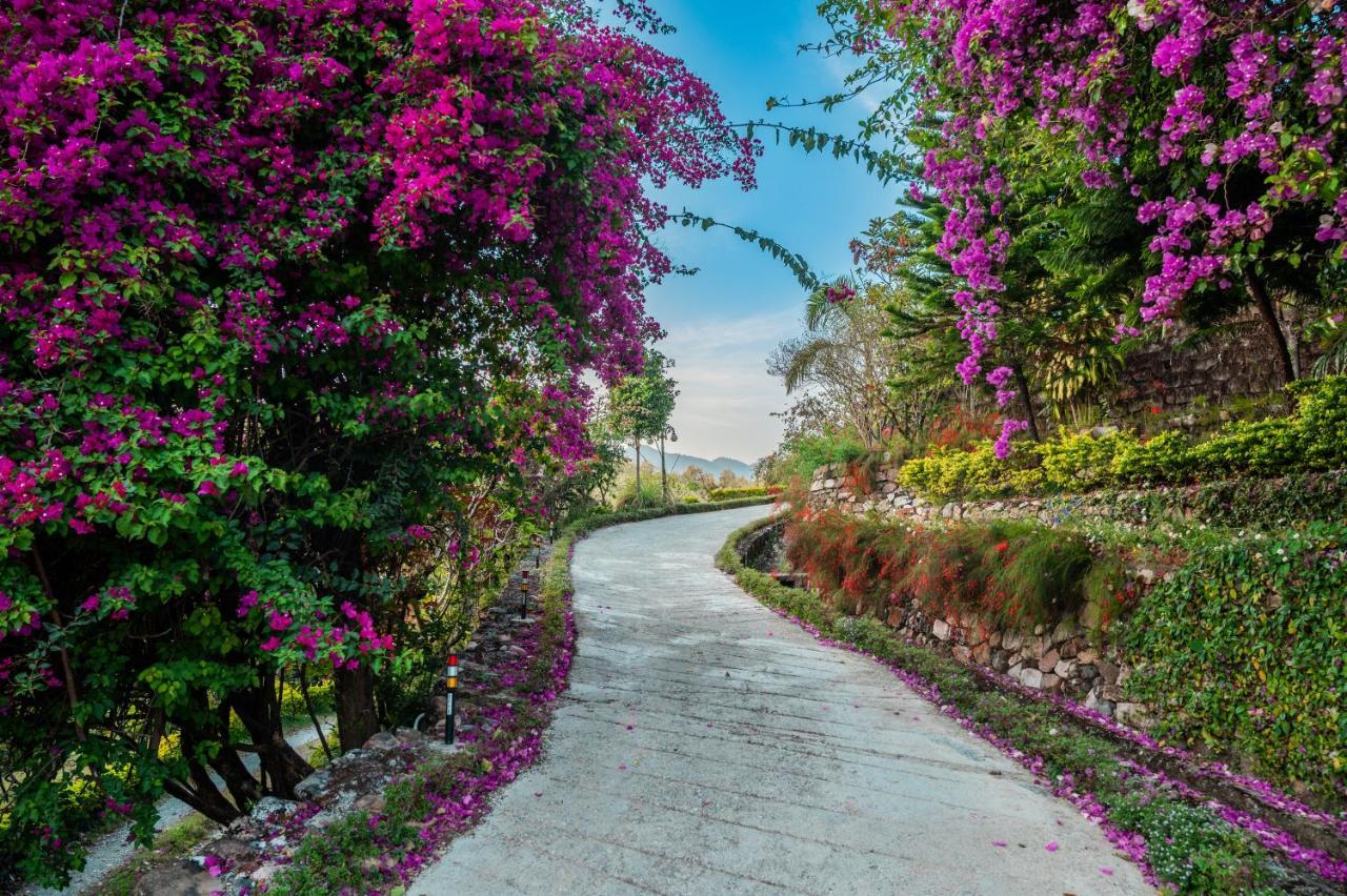 Tree Of Life Resort Dehradun Foothills Buitenkant foto