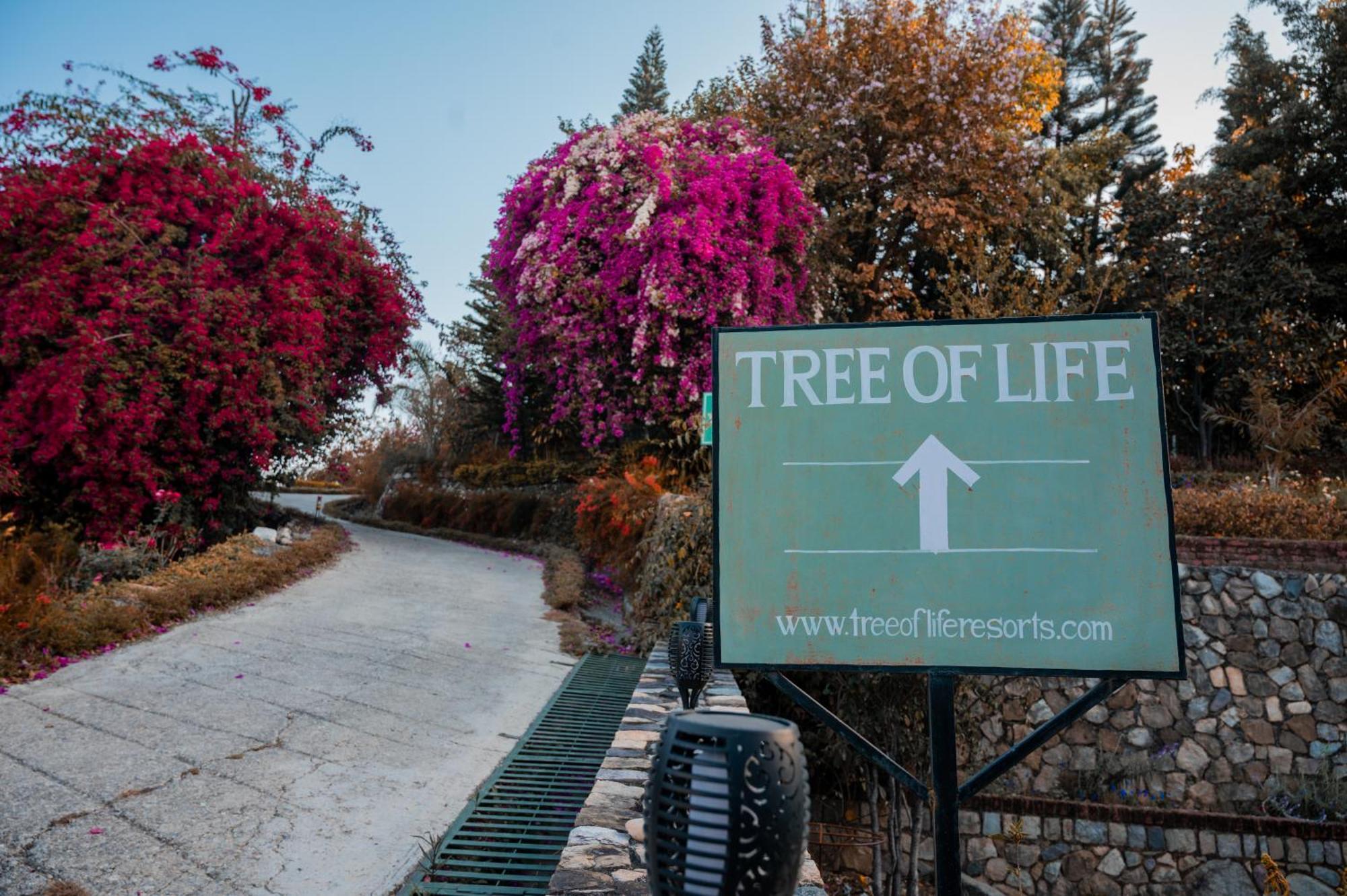 Tree Of Life Resort Dehradun Foothills Buitenkant foto